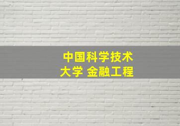 中国科学技术大学 金融工程